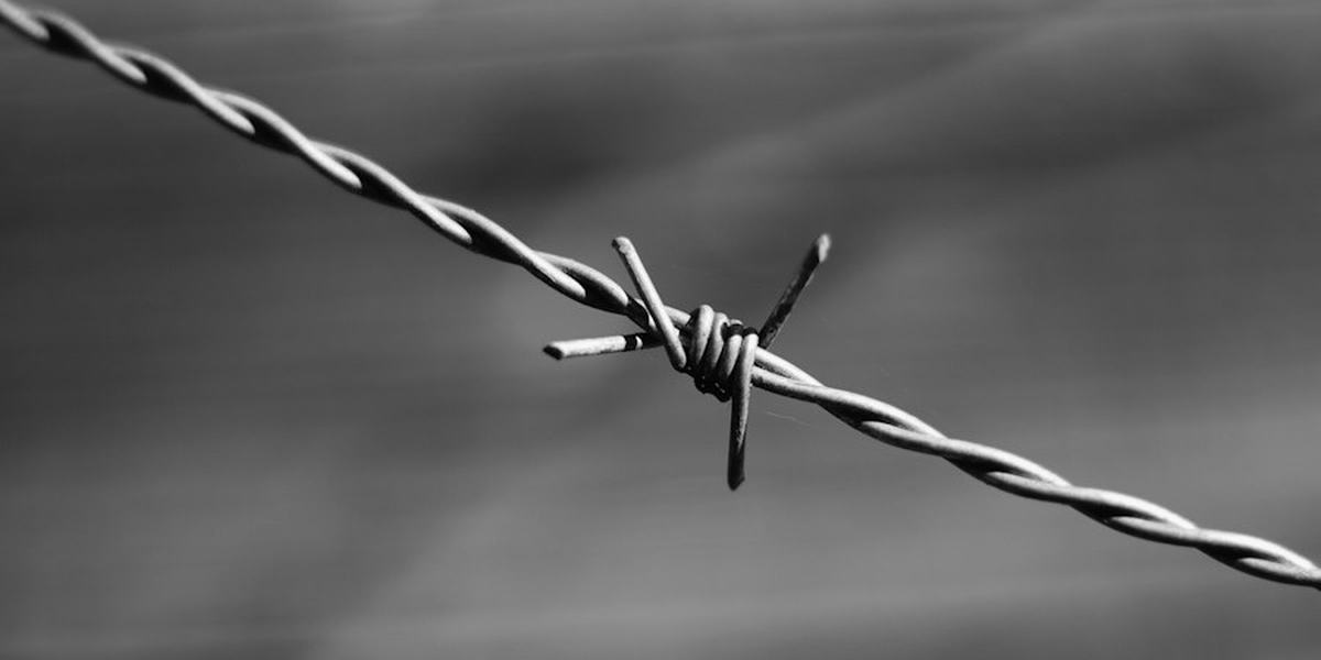 A single strand of barbed wire in black and white